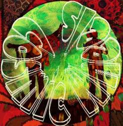 logo Cosmic Wheels logo Cosmic Wheels